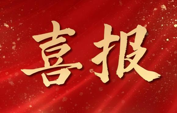 TOP 12！中節(jié)能國禎榮登中國品牌價值 “其他服務類”